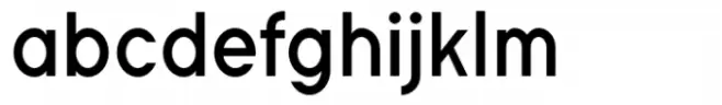 Shapeingo Regular