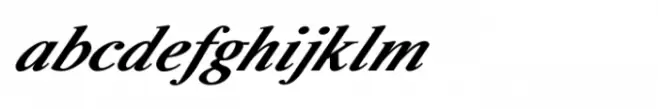 Shree Devanagari 0741 Bold Italic