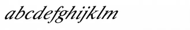 Shree Devanagari 0741 Italic