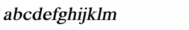 Shree Devanagari 0984 Bold Italic