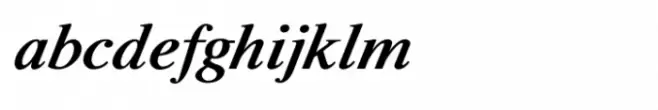 Shree Devanagari 1002 Bold Italic