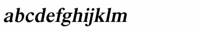 Shree Devanagari 1027 Italic