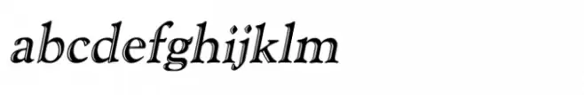 Shree Devanagari 1072 Italic