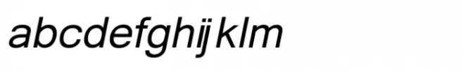 Shree Devanagari 1096 Italic
