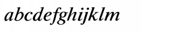 Shree Devanagari 1098 Italic
