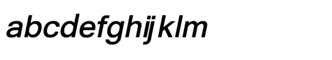 Shree Devanagari 1238 Bold Italic