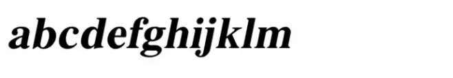 Shree Devanagari 2300 Bold Italic