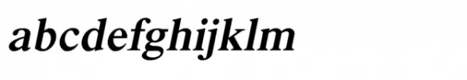 Shree Devanagari 2300 Italic