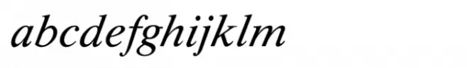 Shree Devanagari 2306 Italic
