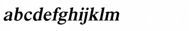 Shree Devanagari 2352 Black Italic