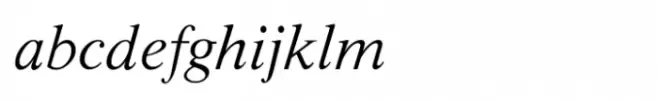 Shree Devanagari 3502 Italic