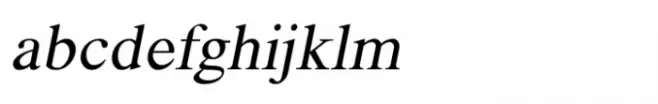 Shree Devanagari 3532 Italic