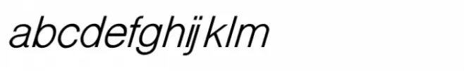 Shree Gujarati 2572 Italic