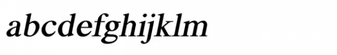 Shree Gujarati 3338 Italic
