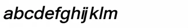 Shree Gujarati 3386 Italic