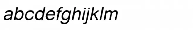 Shree Gujarati 3387 Italic