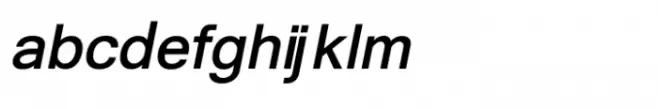 Shree Gujarati 3708 Italic