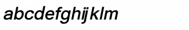 Shree Gujarati 3765 Italic