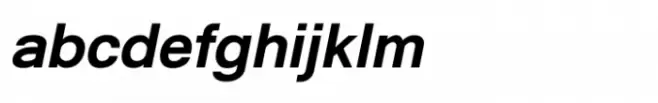 Shree Gujarati 5217 Italic
