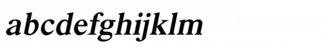 Shree Punjabi 3104 Italic