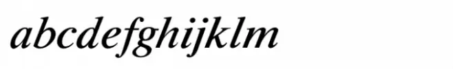 Shree Tamil 0800 Bold Italic