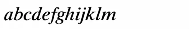 Shree Tamil 0810 Italic