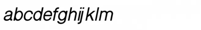 Shree Tamil 1360 Bold Italic