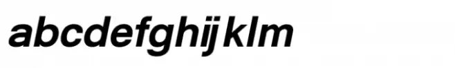 Shree Tamil  1367 Black Italic
