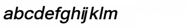 Shree Tamil 3844 Italic