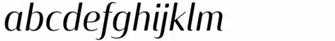 Solitas Contrast Extended Book Italic