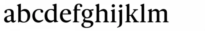 Spaziel Serif Round Medium