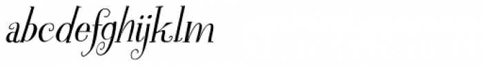Spinnenkop Italic