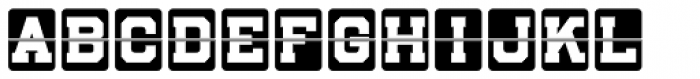 Sportsboard JNL Regular