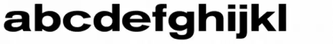 Standard CT Ext Bold