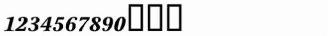 Stone Print SemiBold Italic Fractions