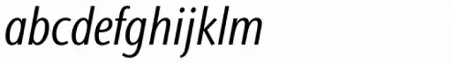 Stone Sans II Pro Condensed Book Italic