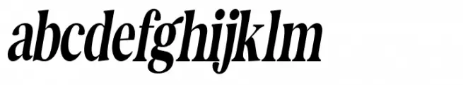 The Documentary Italic