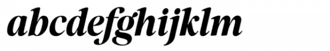 The Reading Display Italic