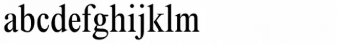Times New Roman Pro Condensed
