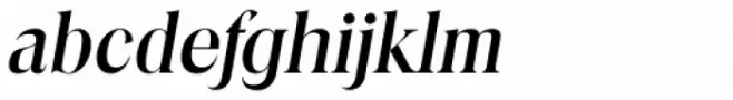Toledo Serial Medium Italic