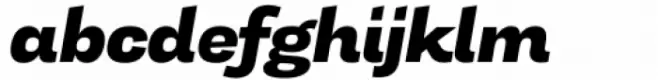 Tonus Sans Heavy Italic