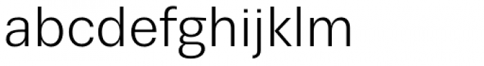 Trivia Sans Book