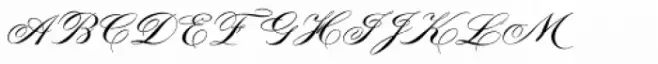 Tryst Monogram (10000 Impressions)