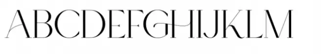 Type Maestro