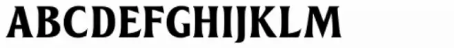 Vallejo Serif Black