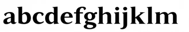 Varisse Soft Serif Bold