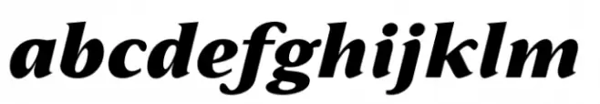 Varisse Soft Serif Heavy Italic