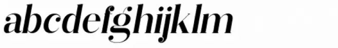 Vectory  Medium Italic