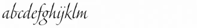 Veljovic Script Pro Light