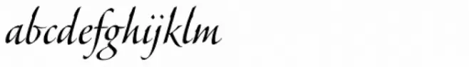 Veljovic Script Pro Regular